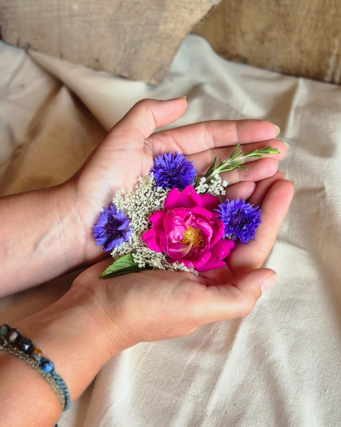 Fleurs de l'Herberie de la Saulx dans les mains de Delphine